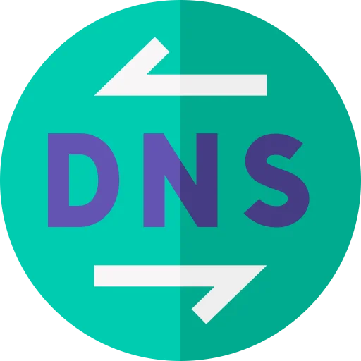 Advanced DNS Record Checking